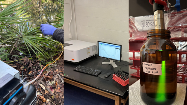 A set up of Quichimbo’s experiment (left to right): an uranine dye injection in the Sink–Rise system at Oleno State Park, Gainesville. The next image shows the laboratory work, where two methods were used: a spectrofluorophotometer and fluorometers (last panel) to analyze dye signals in standard water samples. 