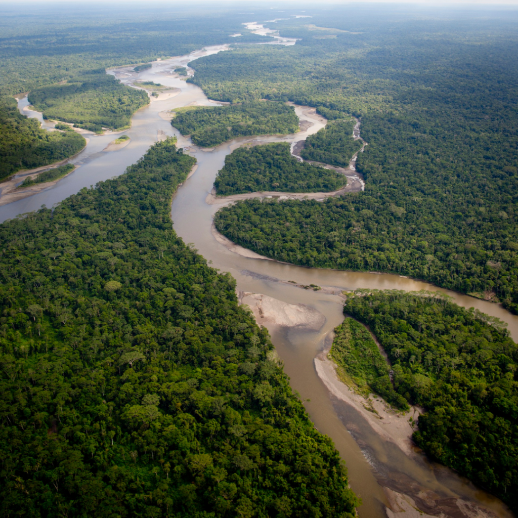 Overview photo of the Amazon rainforest.