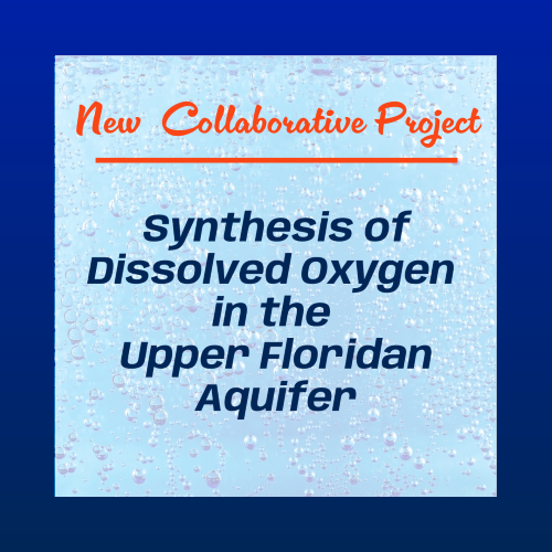 The Water Institute has a new collaborative project titled “Synthesis of Dissolved Oxygen in the Upper Floridan Aquifer”